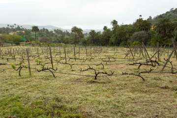 Recorrido por el Barranco del Guiniguada para mostrar algunas de sus riquezas hidráulicas (Foto TA)