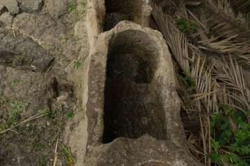 Recorrido por el Barranco del Guiniguada para mostrar algunas de sus riquezas hidráulicas (Foto TA)