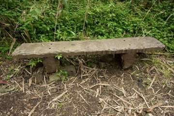 Recorrido por el Barranco del Guiniguada para mostrar algunas de sus riquezas hidráulicas (Foto TA)