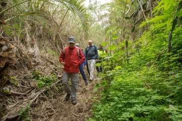 Recorrido por el Barranco del Guiniguada para mostrar algunas de sus riquezas hidráulicas (Foto TA)