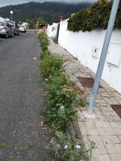 Sector de El Pedregal (Foto TA)