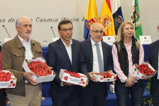 Valsequillo ya huele a fresas (Foto TA)