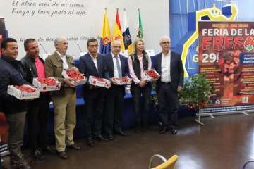 Valsequillo ya huele a fresas (Foto TA)