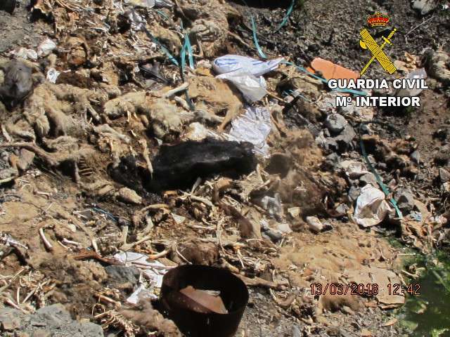 Imagen de los restos de animales hallados por la Guardia Civil (Foto TA)