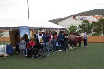 Éxito de la II edición de la Caca de la Vaca en Valsequillo (Foto Acfi Press)
