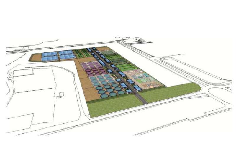Proyección del área experimental que se levantará en Arinaga (Foto TA)