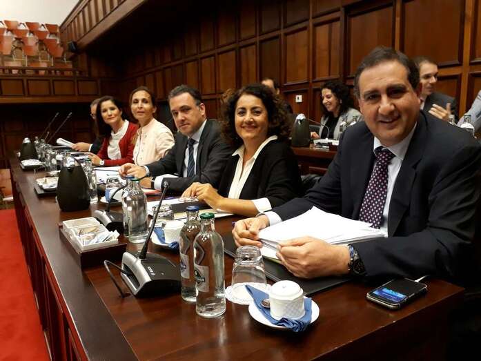 Imagen de los consejeros del grupo popular en el Cabildo de Gran Canaria (Foto TA)