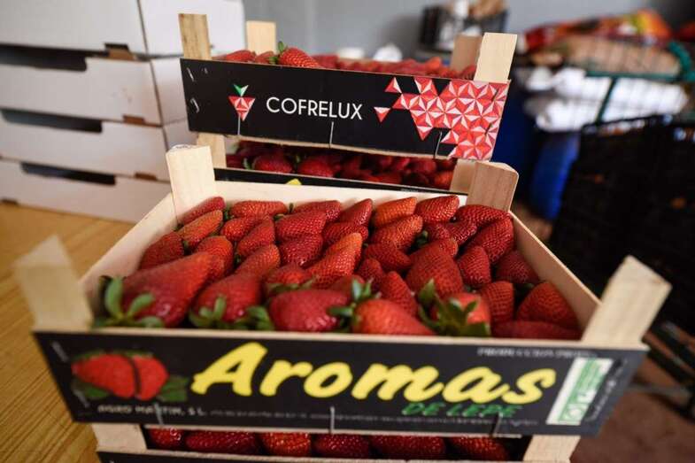 Valsequillo quiere ayudar a los productores locales a competir con las importaciones (Foto TA)