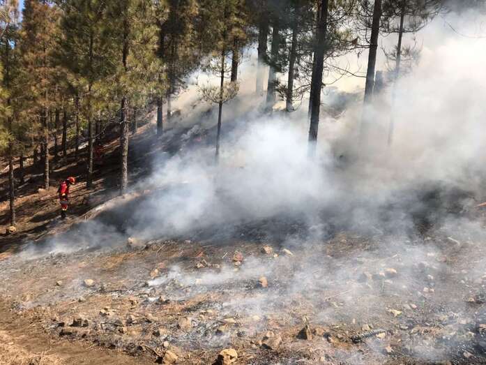 El Cabildo pide a la población que no se alarme si detecta columnas de humo entre la Montaña de Moriscos y los Pinos de Gáldar (Foto TA)