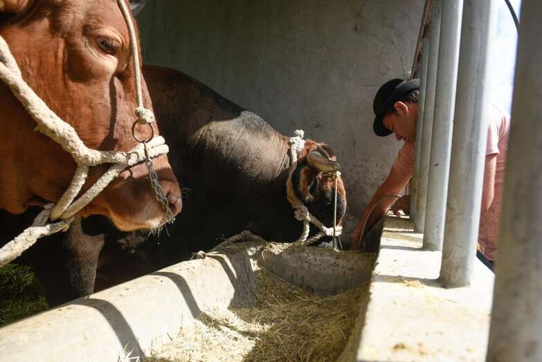 La sustancia que se distribuye es respetuosa con el medio ambiente (Foto TA).