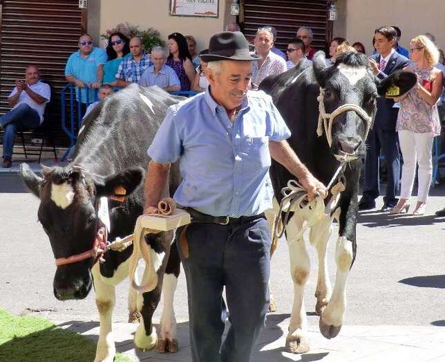 Imagen de archivo de una feria de ganado en Valsequillo (Foto TA)