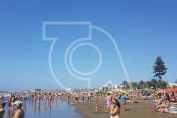 Dos tiburones se acercan a la orilla y desatan la alarma en la playa de Las Burras (Foto TA)