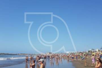 Dos tiburones se acercan a la orilla y desatan la alarma en la playa de Las Burras (Foto TA)