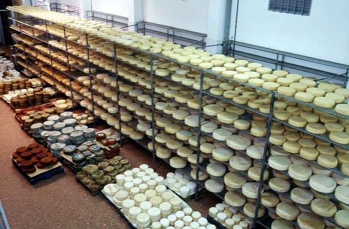 La empresa familiar Quesos Bolaños aglutina 18 premios entre 2017 y 2018 (Foto TA)