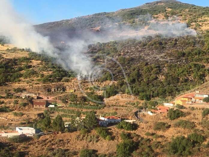 Incendio que tuvo lugar el pasado 2 de agosto en la cumbre de Telde (Foto TA)