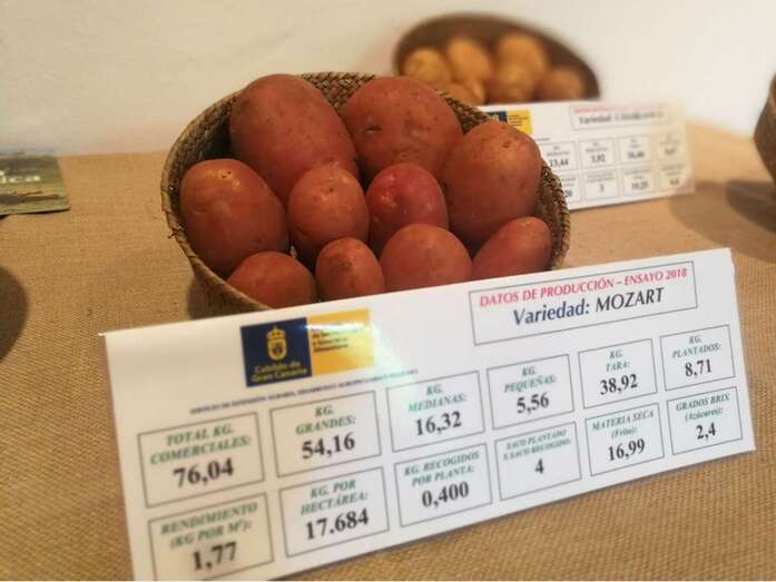 Variedad que participa en la feria (Foto TA)