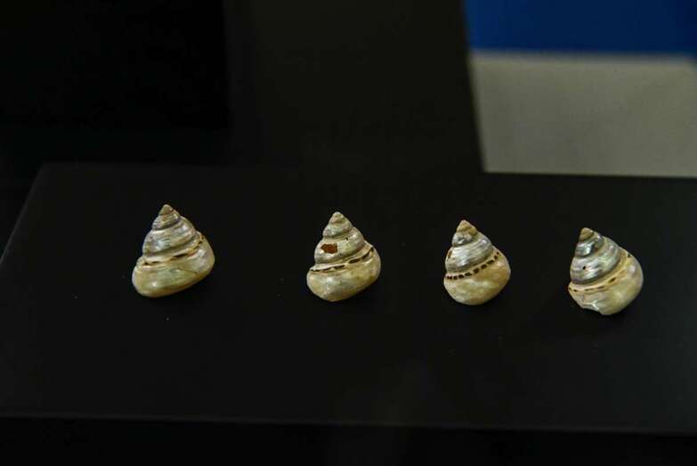 Su mayor particularidad radica en la aplicación de una técnica que exige gran destreza y que otorga protagonismo al brillo del nácar (Foto TA)