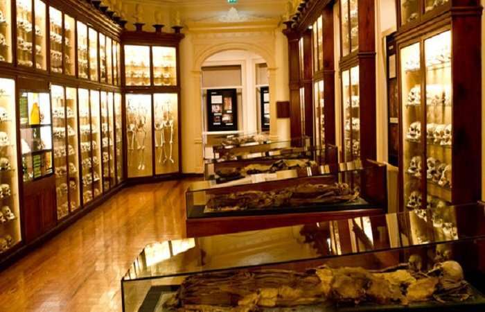 Una de las salas de El Museo Canario (Foto Multimedia)