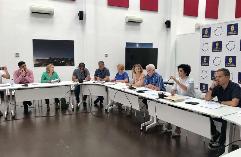 Imagen de la sesión del Consejo Insular de Solidaridad este jueves (Foto TA)
