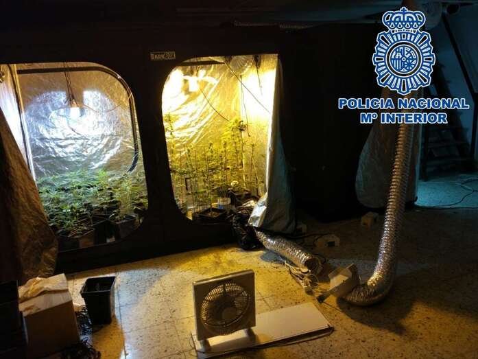 Dos italianos de 30 y 36 años de edad fueron detenidos por un delito contra la salud pública (Foto TA)