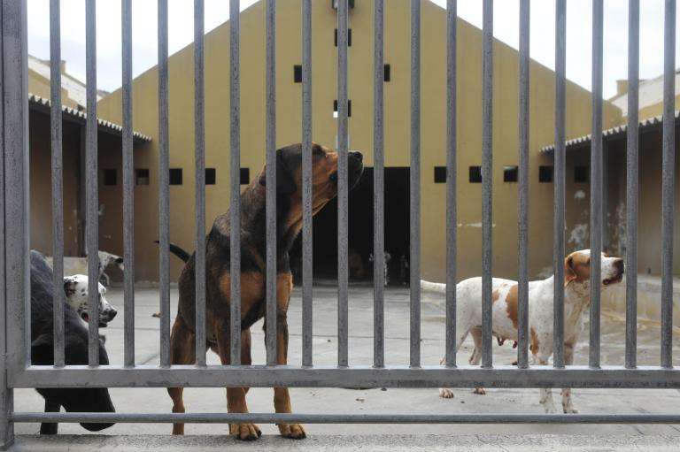 La decisión â€œextrema y de urgenciaâ€ implica que los ayuntamientos establezcan mecanismos alternativos para afrontar sus competencias (Foto TA)