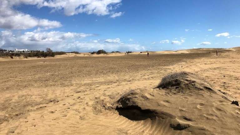 Imagen de una de las mayores calvas dentro del espacio dunar (Foto Canarias7)