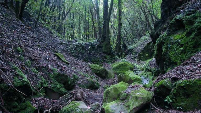 Imagen de archivo (Foto Canarias7)