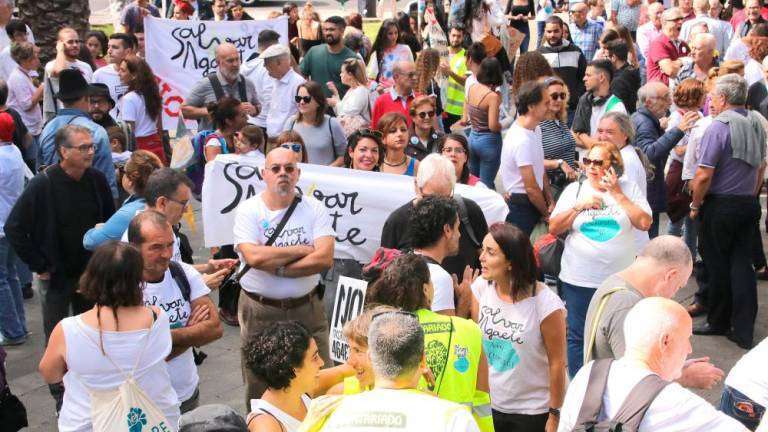 Imagen de la manifestación (Foto Canarias7)