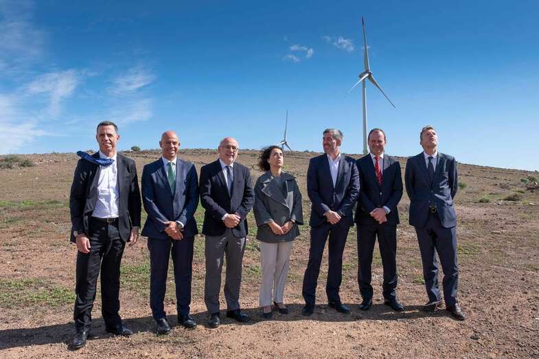 El parque eólico está localizado en el municipio de Agüimes (Foto TA)