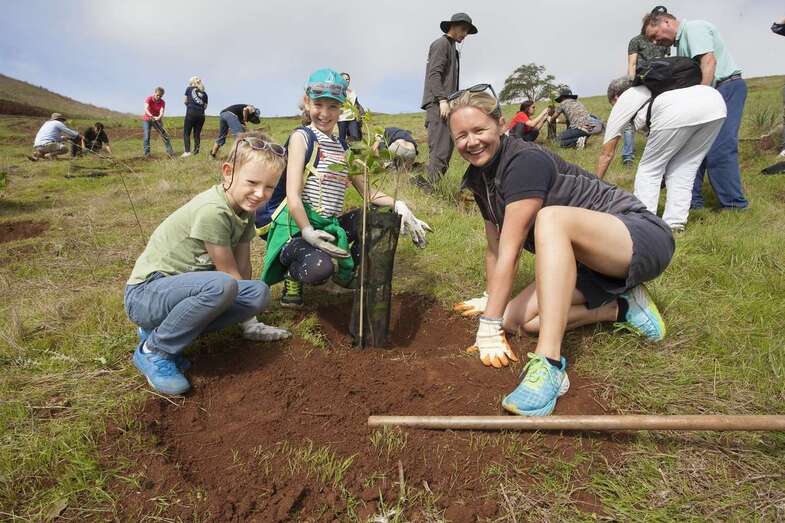 Imagen de una de las acciones de reforestación (Foto TA)