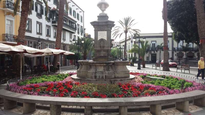 Las flores se cultivan desde el verano en el vivero Bamaflor de Gáldar (Foto TA)