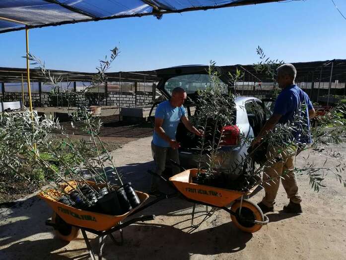 Los esquejes tardan al menos dos meses en enraizar y un año en alcanzar un metro de altura  (Foto TA)