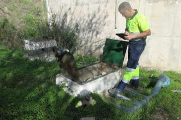 Aguas de Telde renueva la red de abasto de Valsequillo (Foto TA)