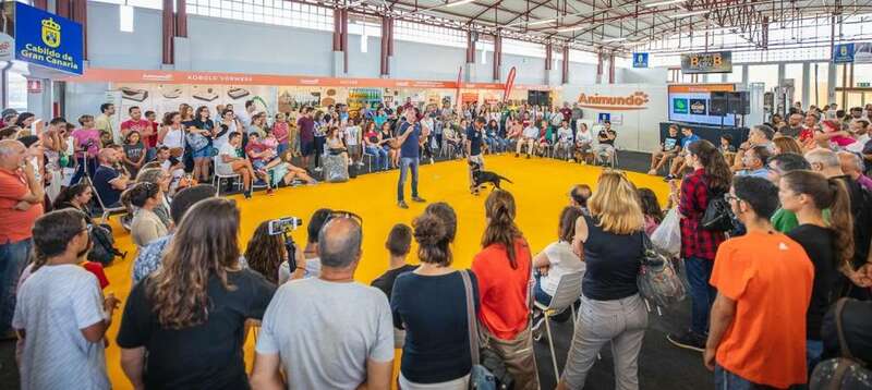 El día previo a la Feria se representará el musical Mírame de Frente 2 (Foto TA)