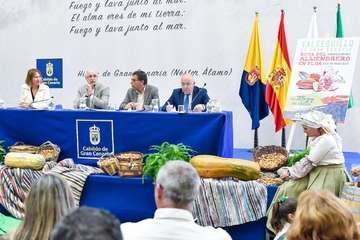 Valsequillo celebra del 25 al 27 de enero su Ruta del Almendrero en Flor (Foto TA)