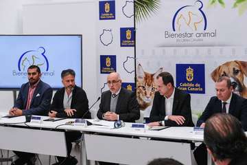 Telde respalda el Pacto por el Bienestar Animal (Foto TA)