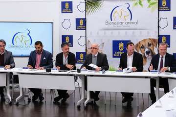 Telde respalda el Pacto por el Bienestar Animal (Foto TA)