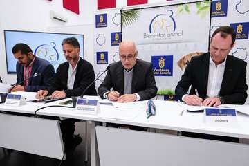 Telde respalda el Pacto por el Bienestar Animal (Foto TA)