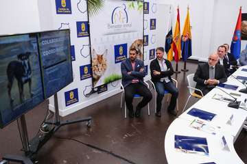 Telde respalda el Pacto por el Bienestar Animal (Foto TA)