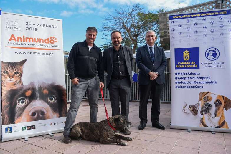 Hasta 27 expositores, cuatro pasarelas de adopción al día, exhibiciones y zona de juegos con piscina canina (Foto TA)