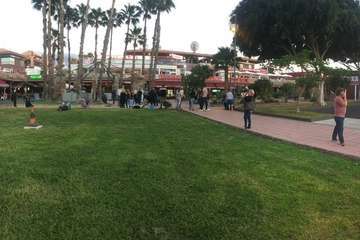  Jóvenes de Telde denuncian 