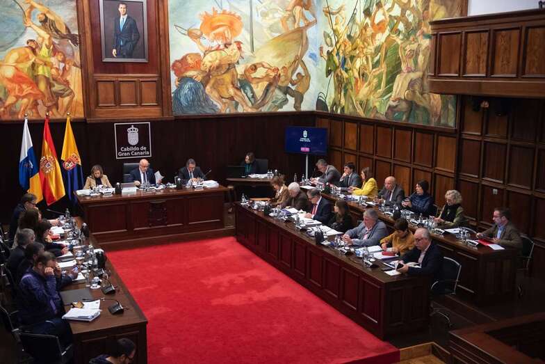 Imagen del Pleno extraordinario celebrado este lunes (Foto TA)