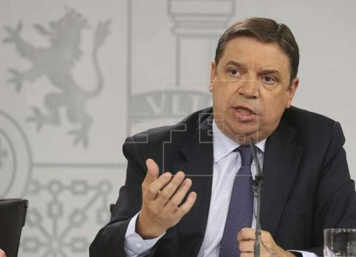 El ministro de Agricultura, Luis Planas (Foto Efe)