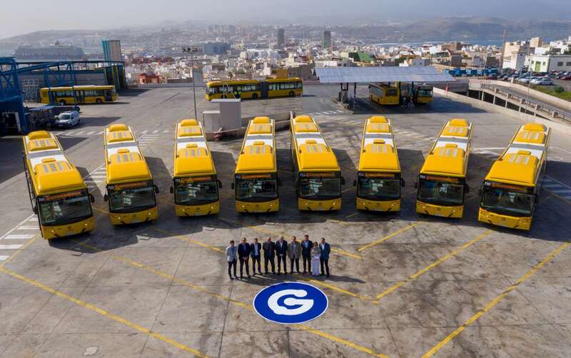 Los nuevos vehículos adquiridos por Guaguas Municipales (Foto TA)