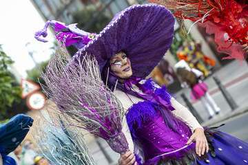 Unas 200.000 personas disfrutaron de la Gran Cabalgata del Carnaval de Una noche en Río (Foto TA)