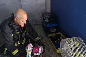 Arde una tienda de animales en el Centro Comercial 7 Palmas (Foto TA)