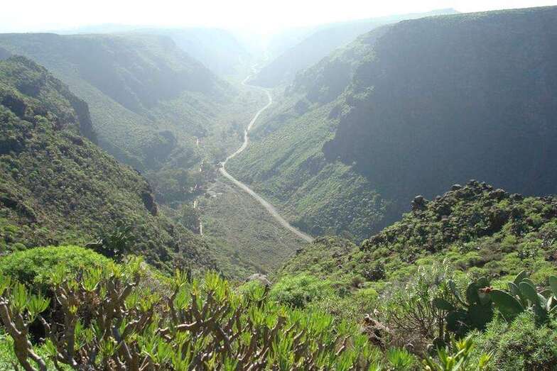 Imagen de archivo del barranco de Guayadeque (Foto TA)