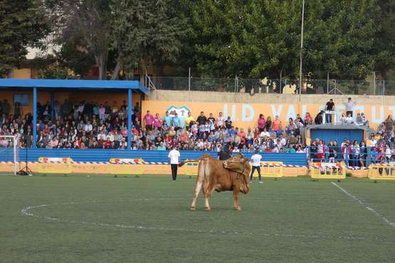 Tercera edición del concurso La Caca de la Vaca en Valsequillo (Foto Acfi Press)