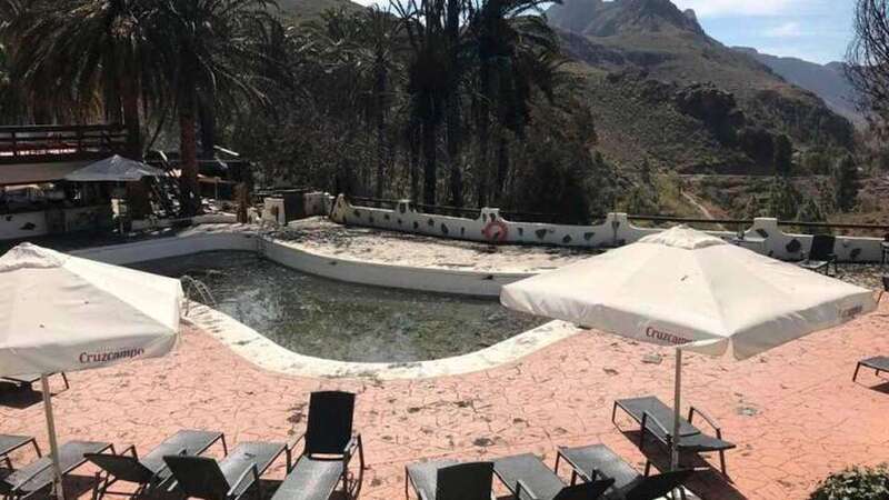 Estado en el que quedaron las palmeras más próximas a la piscina del complejo (Foto TA)