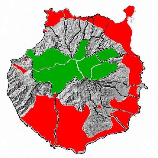 Telde es uno de los quince municipios de la Isla afectados por la plaga de picudín (Foto TA)
